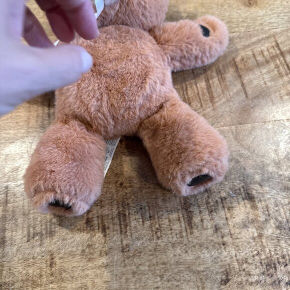 Little Live Pets Teddy Bear Plush Brown Cozy Dozy Baby Cubbles With Pacifier - Picture 3 of 8